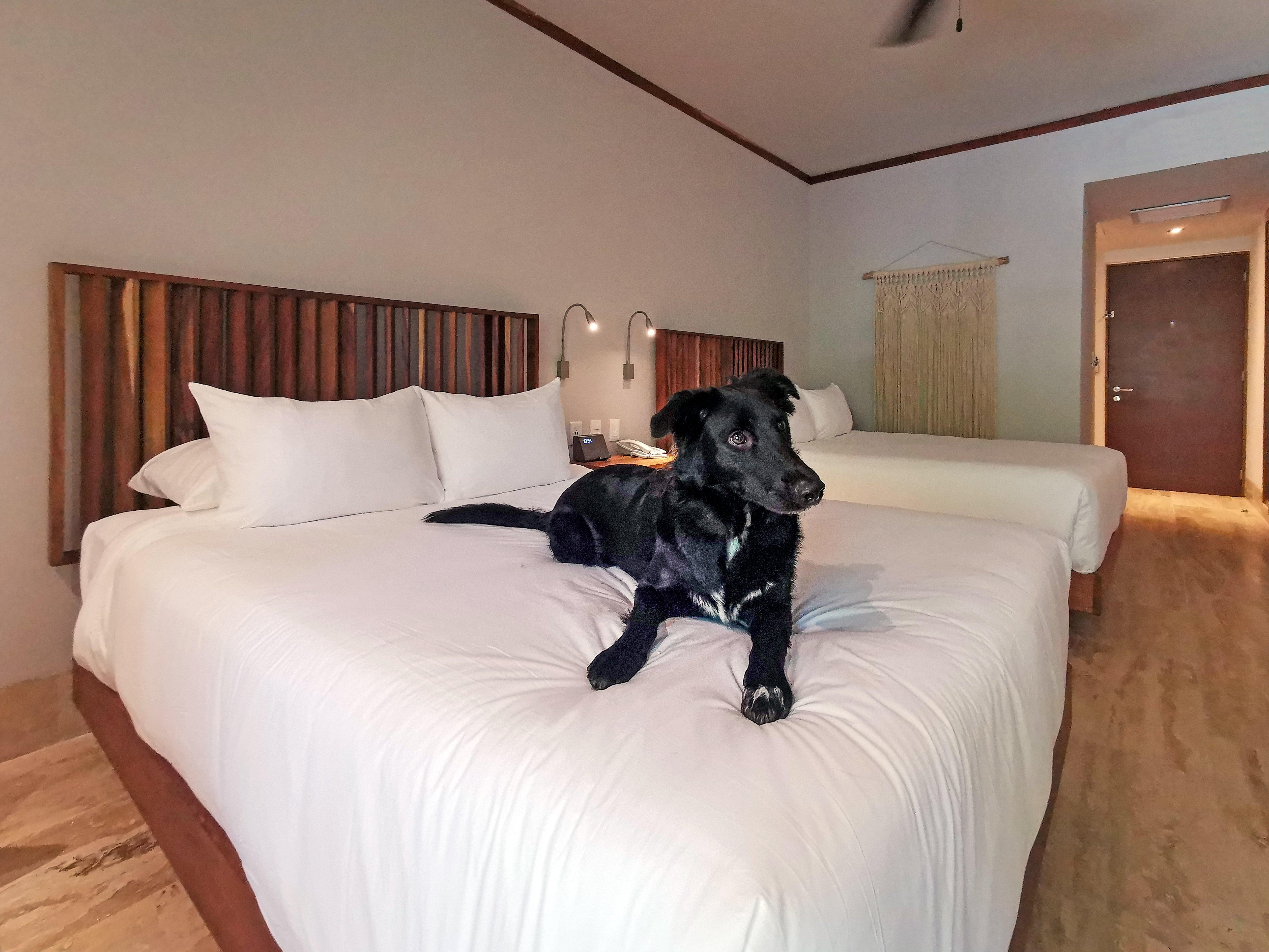Kimpton Aluna Resort Tulum By Ihg Exterior foto
